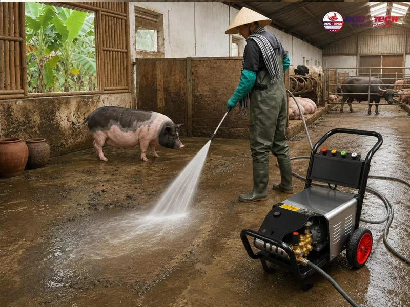 Máy rửa chuồng trại là gì Máy rửa chuồng trại là gì