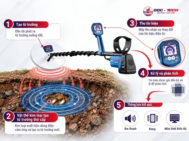 Cách thức máy dò kim loại dưới lòng đất tìm ra mục tiêu