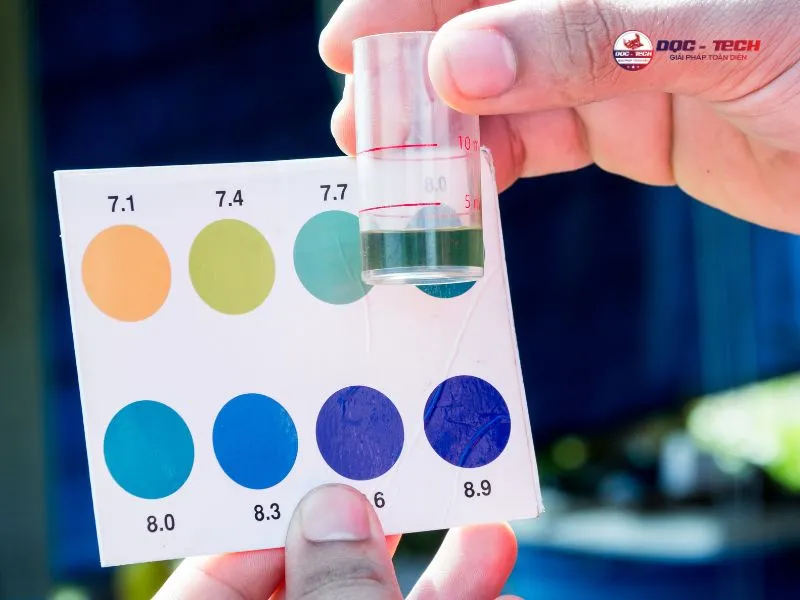 pH của nước tuần hoàn nên trong khoảng 7 - 9